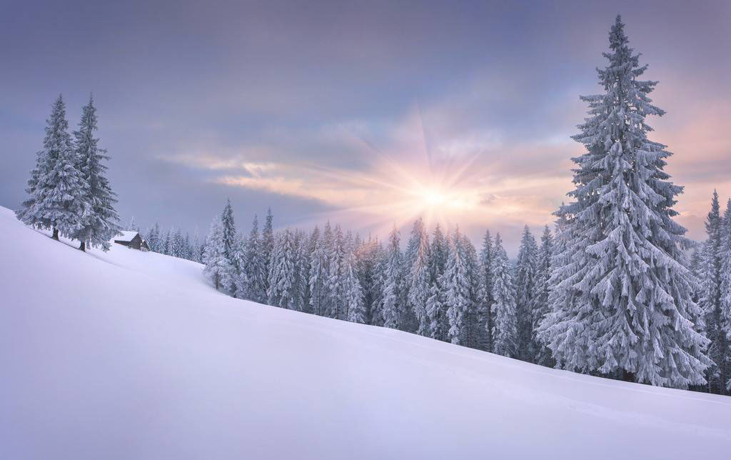 雪景