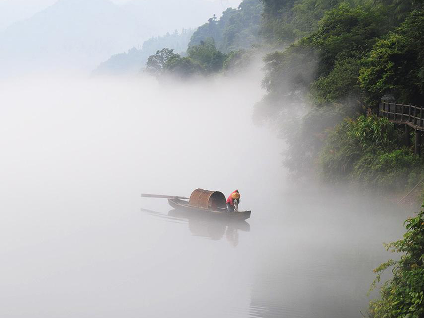 朦胧美的雾景